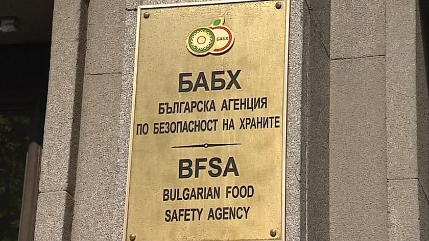 БАБХ спря над 17,5 тона грозде от Турция със свръхпестициди