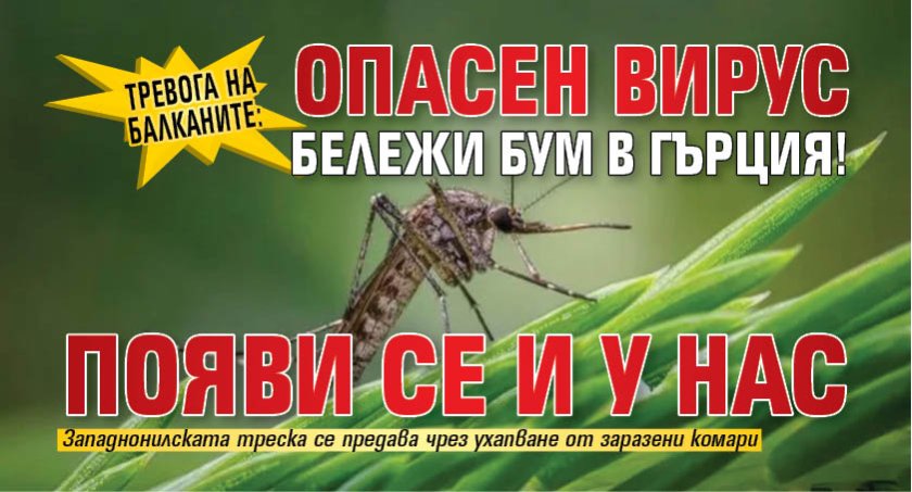 Тревога на Балканите: Опасен вирус бележи бум в Гърция! Появи се и у нас