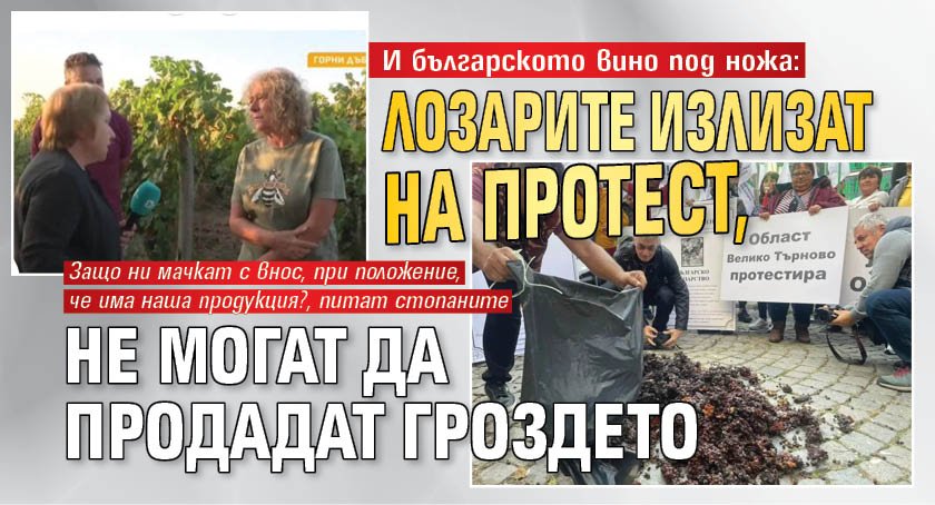 И българското вино под ножа: Лозарите излизат на протест, не могат да продадат гроздето 