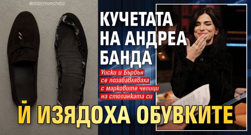 Кучетата на Андреа Банда й изядоха обувките