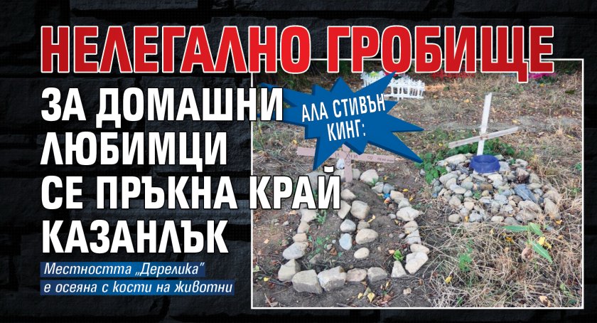 Ала Стивън Кинг: Нелегално гробище за домашни любимци се пръкна край Казанлък
