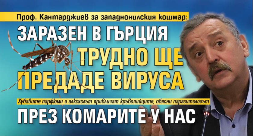 Проф. Кантарджиев за западнонилския кошмар: Заразен в Гърция трудно ще предаде вируса през комарите у нас