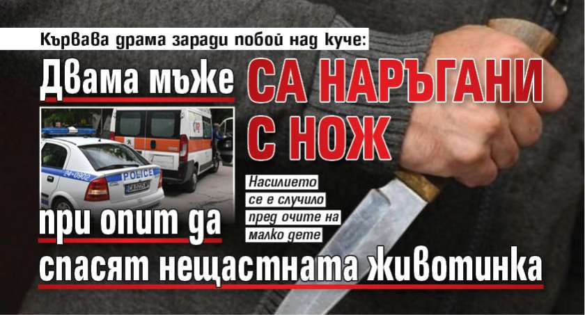 Кървава драма заради побой над куче: Двама мъже са наръгани с нож при опит да спасят нещастната животинка 