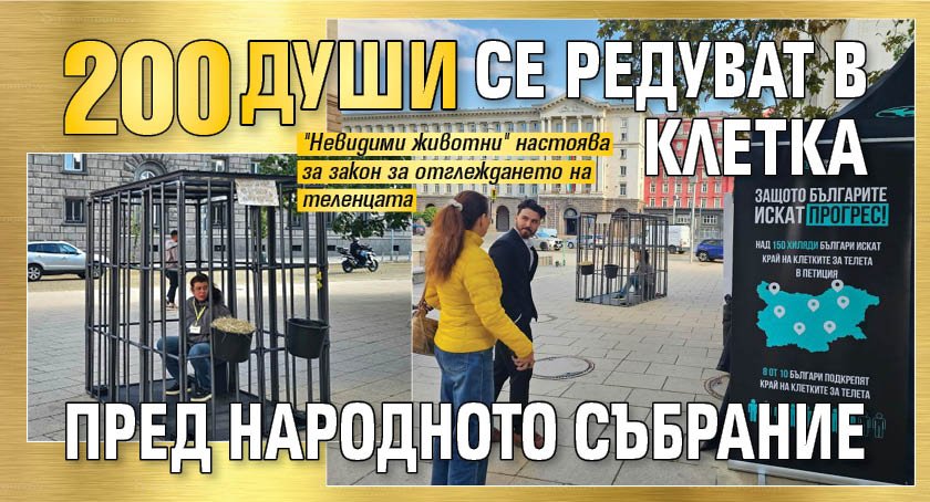 200 души се редуват в клетка пред Народното събрание