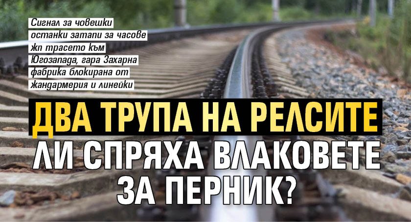 Два трупа на релсите ли спряха влаковете за Перник?