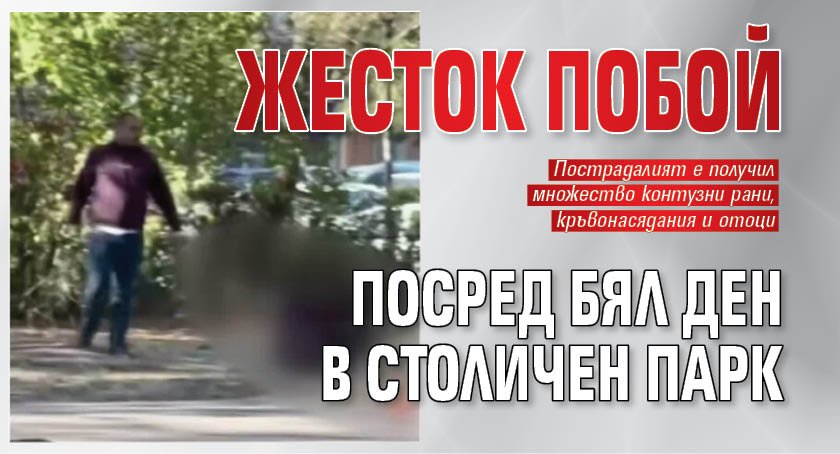 Жесток побой посред бял ден в столичен парк