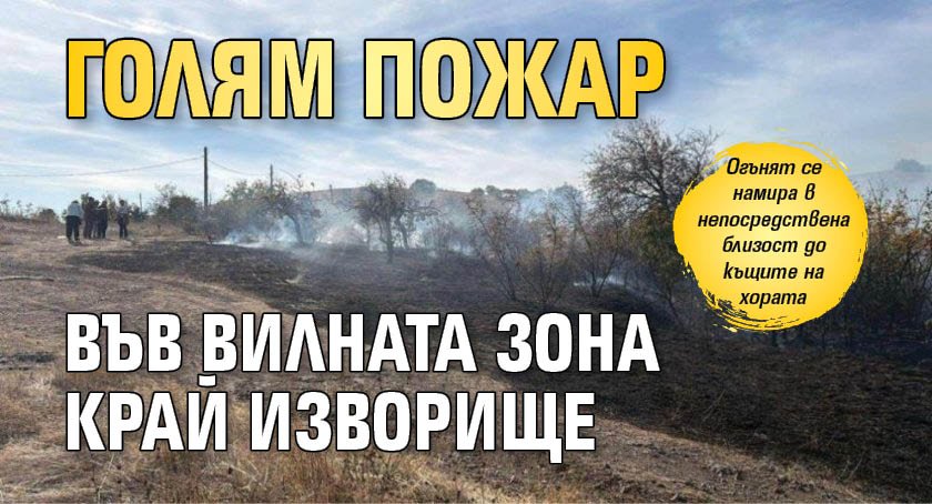 Голям пожар във вилната зона край Изворище