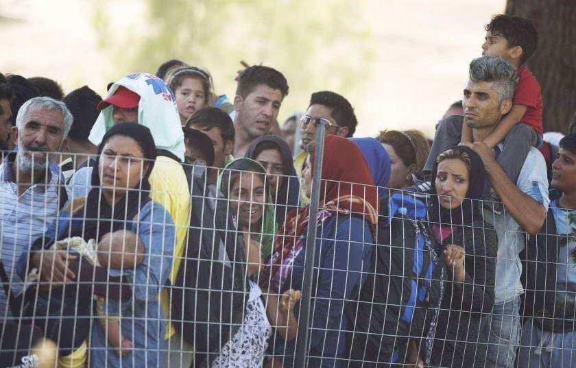 МВР: През 2019 година заловихме 2184 мигранти