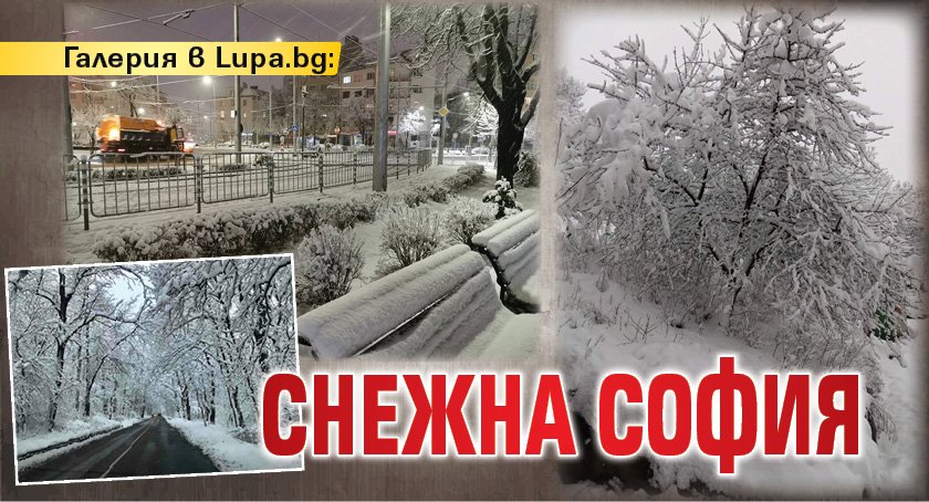 Галерия в Lupa.bg: Снежна София