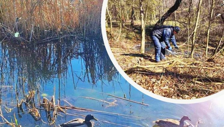 Почистват и възстановяват езерата в Южния парк 