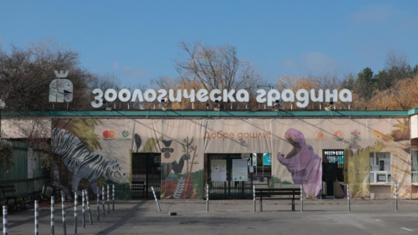 Зоологическата градина в София обяви безсрочен протест