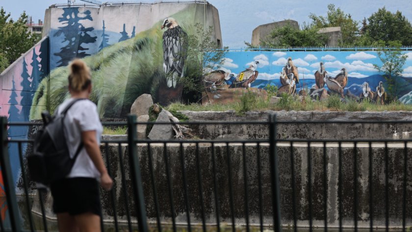 В софийския зоопарк искат по-високи заплати