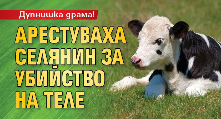 Дупнишка драма! Арестуваха селянин за убийство на теле 