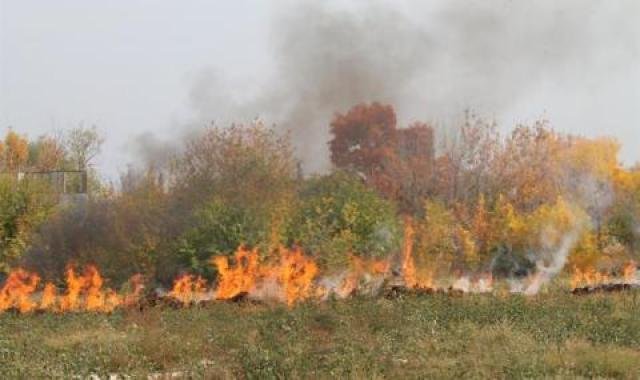 Мъж подпали сухи треви и загина в огъня