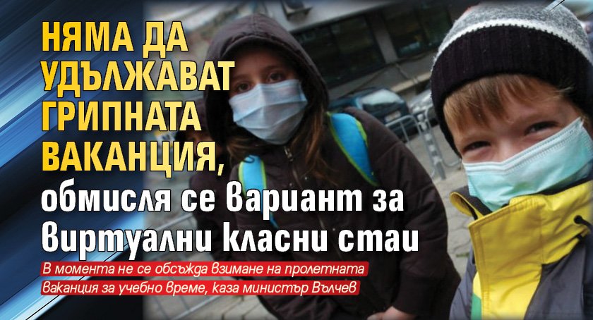 Няма да удължават грипната ваканция, обмисля се вариант за виртуални класни стаи