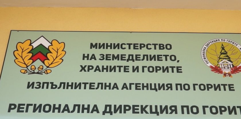 Прокурори влязоха в Агенцията по горите