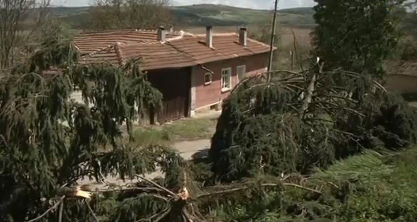 Торнадото остави стотици без покрив