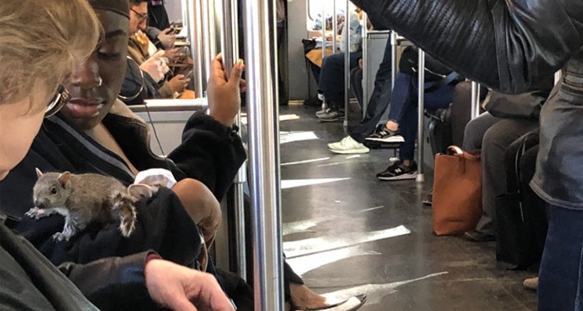 Катеричка се повози в метрото в Бостън