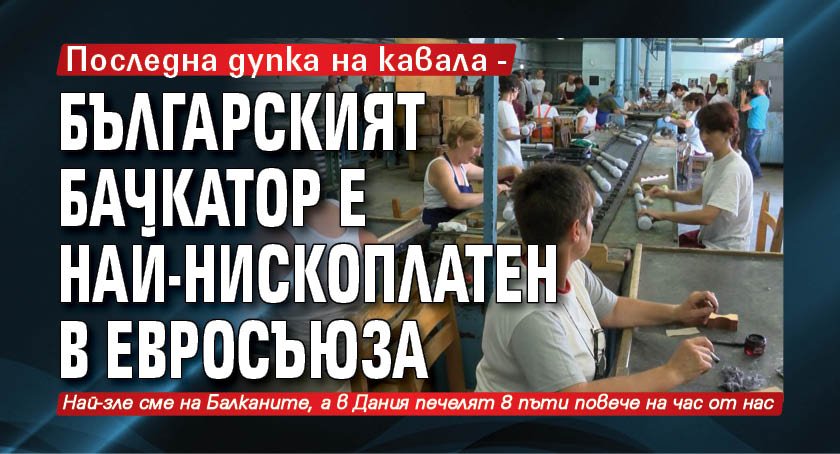 Последна дупка на кавала - българският бачкатор е най-нископлатен в Евросъюза