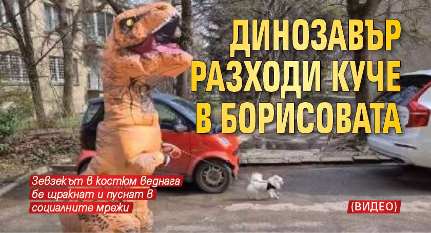 Динозавър разходи куче в Борисовата (ВИДЕО)