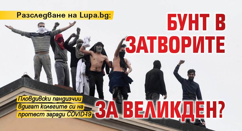 Разследване на Lupa.bg: Бунт в затворите за Великден?