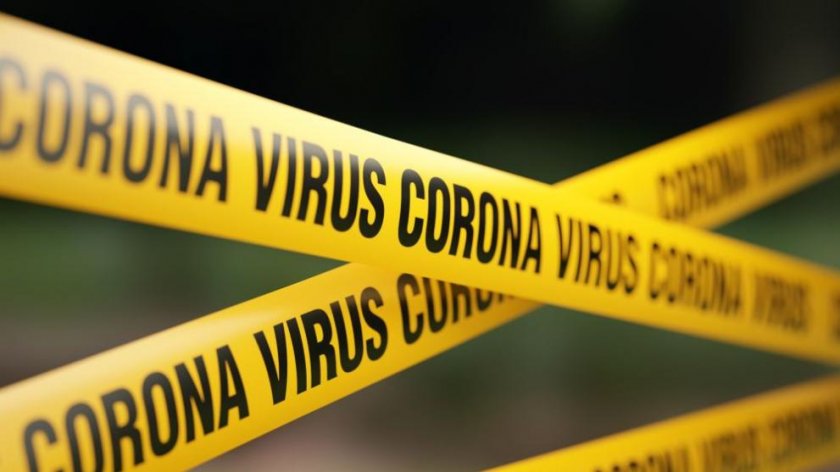 Вирусолог в Германия: Мерките срещу коронавируса са опасни 