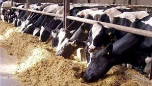 Земеделци и животновъди  поискаха специален режим на работа 