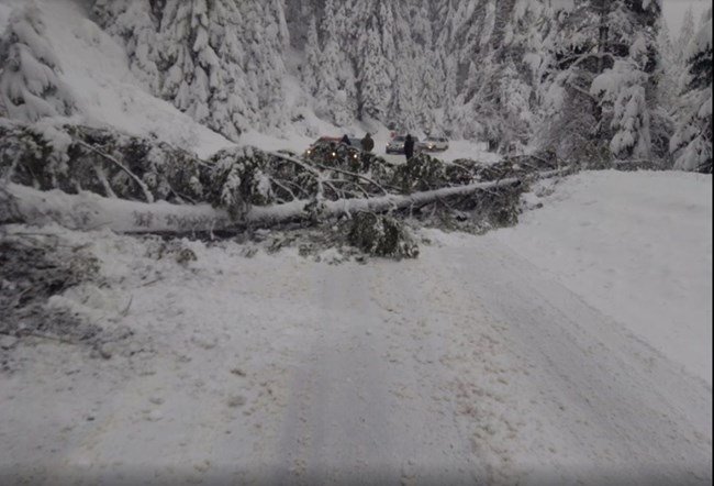 80 см сняг затрупа Рудозем, регионът бедства