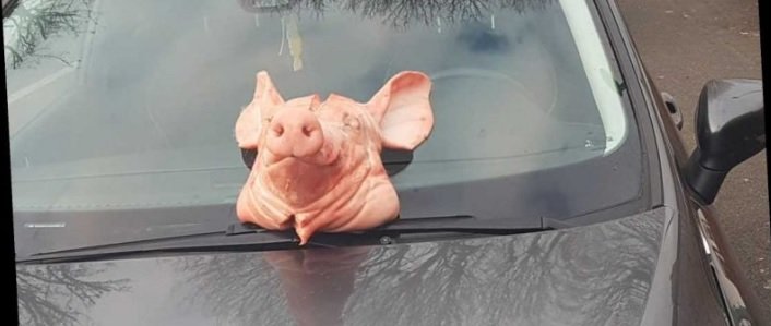 Полицайка осъмна със свинска глава върху колата си