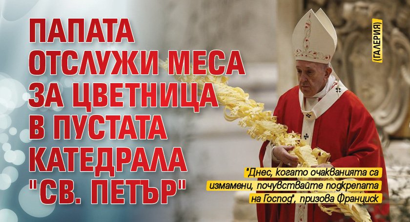 Папата отслужи меса за Цветница в пустата катедрала "Св. Петър" (ГАЛЕРИЯ)