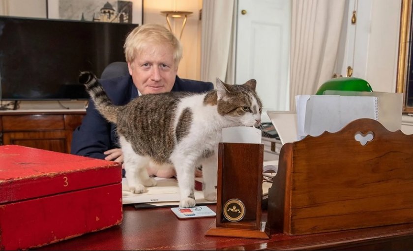 Котката на Борис Джонсън нарушава карантината (СНИМКИ)