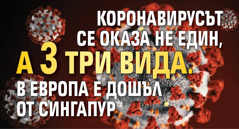 Коронавирусът се оказа не един, а 3 три вида. В Европа е дошъл от Сингапур