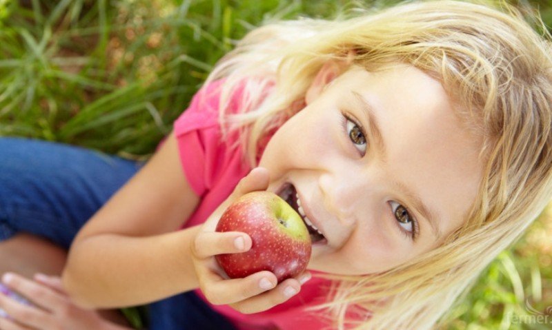 Над 420 000 ученици ще получат у дома плодове и мляко