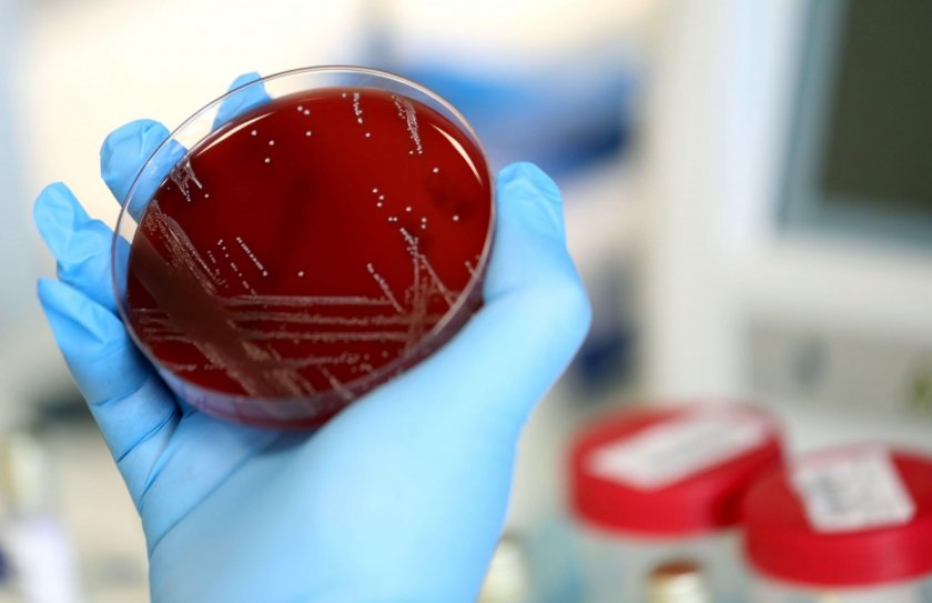 Учени: Коронавирусът умира при 92 градуса