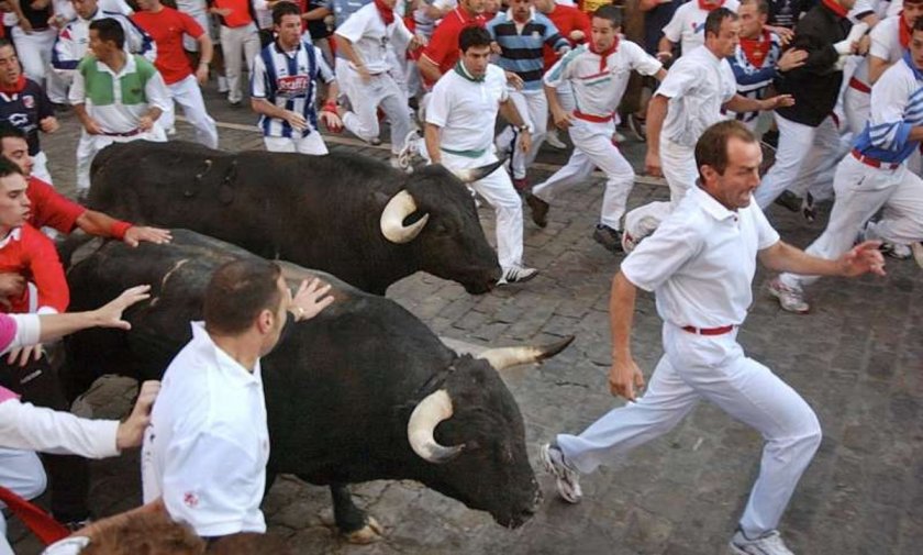 Традиционното бягане пред бикове в Памплона се отменя