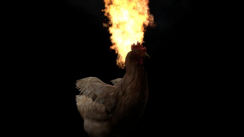 Огнен геноцид: 650 пилета се изпекоха в пожар