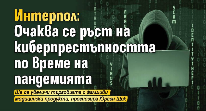 Интерпол: Очаква се ръст на киберпрестъпността по време на пандемията 