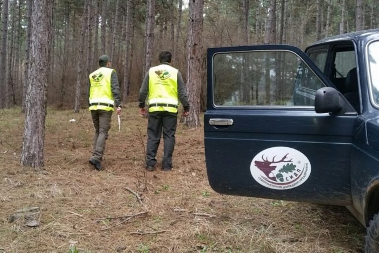 Лесничеи взеха рушвет от дървената мафия