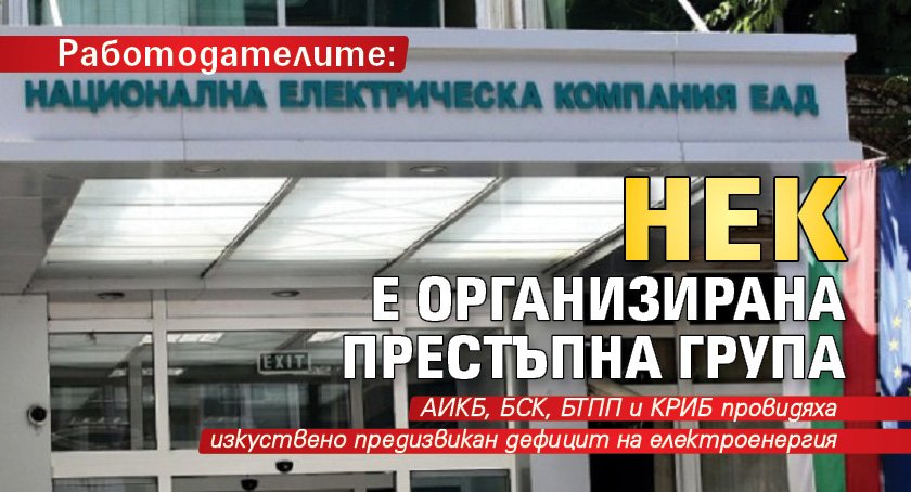 Работодателите: НЕК е организирана престъпна група