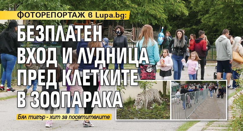 ФОТОРЕПОРТАЖ в Lupa.bg: Безплатен вход и лудница пред клетките в зоопарака