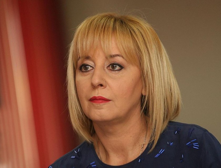 Мая Манолова поиска оставката на Ревизоро 