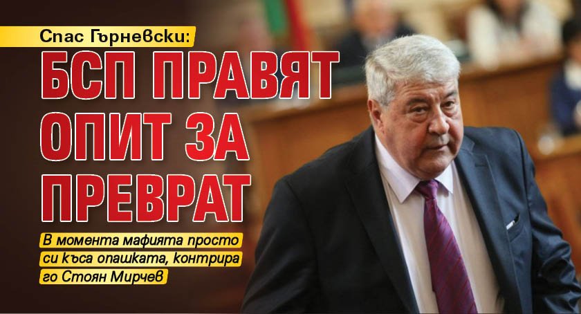 Спас Гърневски: БСП правят опит за преврат