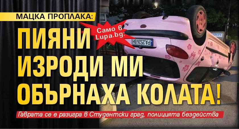 Само в Lupa.bg: Мацка проплака: Пияни изроди ми обърнаха колата!