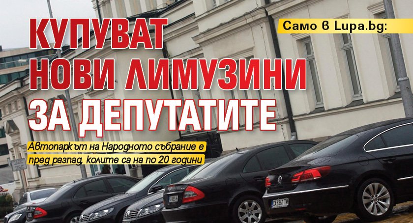 Само в Lupa.bg: Купуват нови лимузини за депутатите