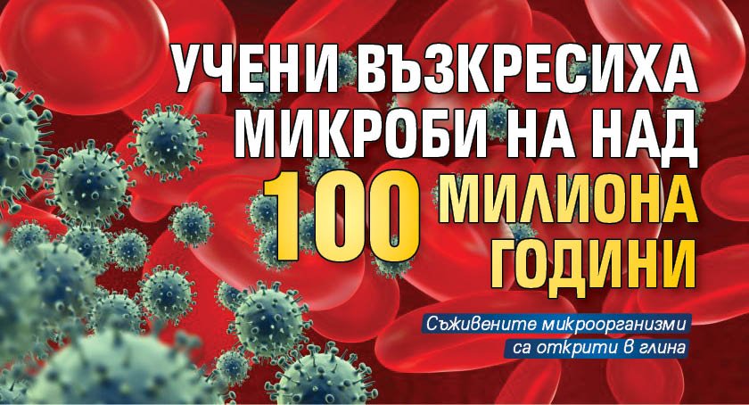 Учени възкресиха микроби на над 100 милиона години