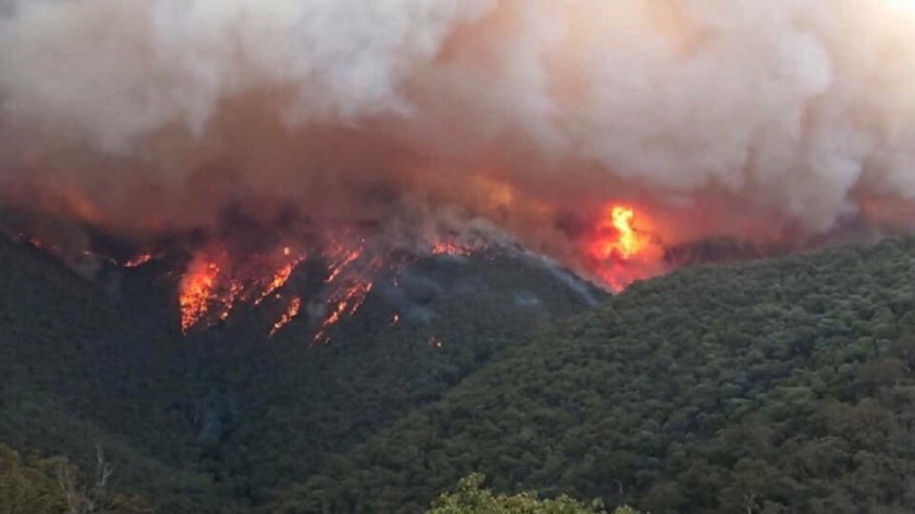 Огнен ад: Огромен пожар захапа Сливен, Нова Загора, Котел и Твърдица