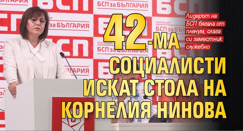 42-ма социалисти искат стола на Корнелия Нинова