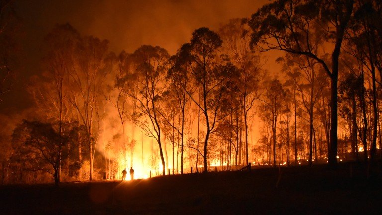 Голям пожар гори край Любимец