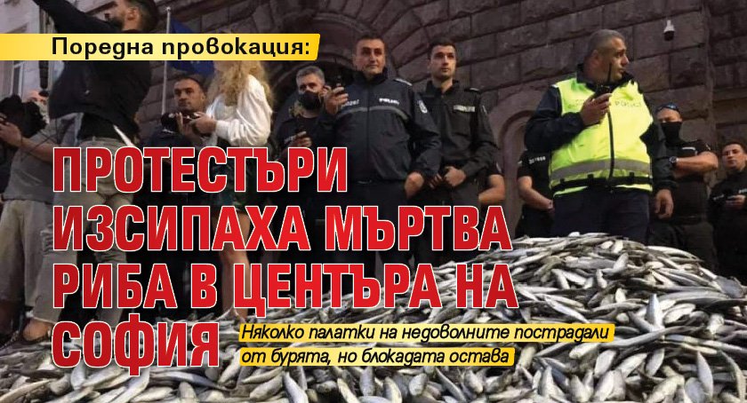 Поредна провокация: Протестъри изсипаха мъртва риба в центъра на София