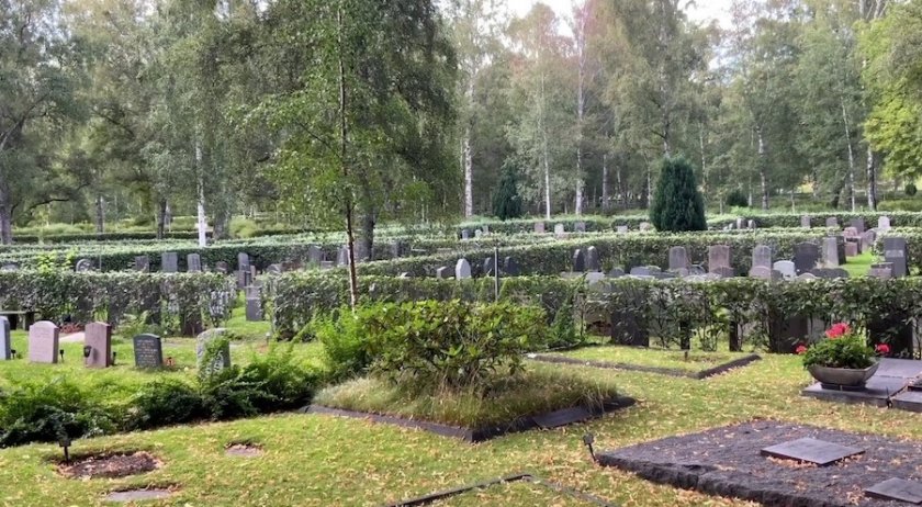 На гробище в Швеция: Мигранти изнасилиха две момчета